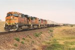 Intermodal races east